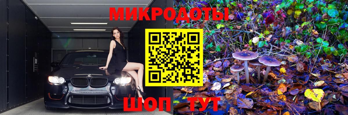 Тулун  Псилоцибиновые грибы ЛСД  Вход с VPN 